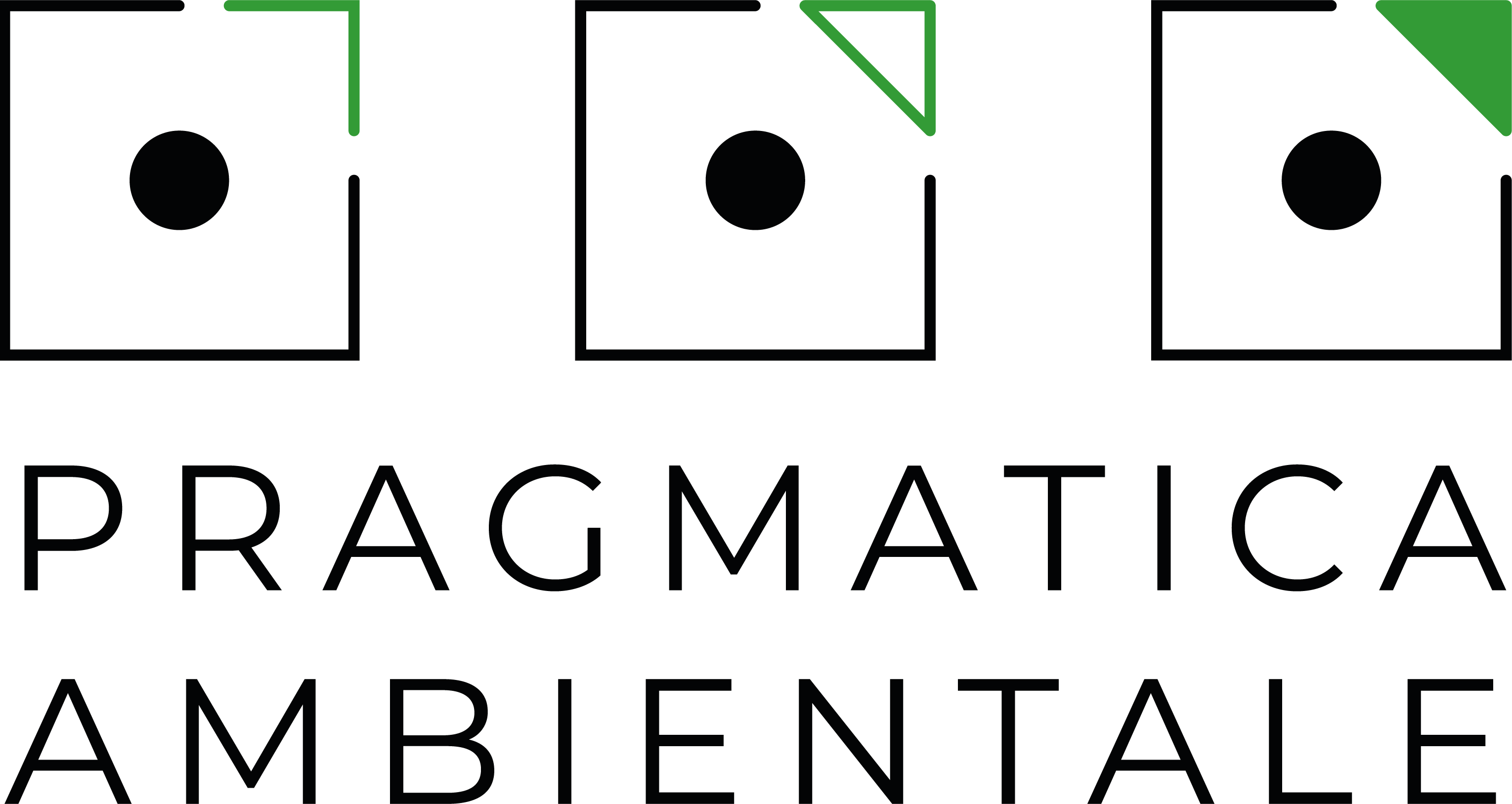 Logo Pragma