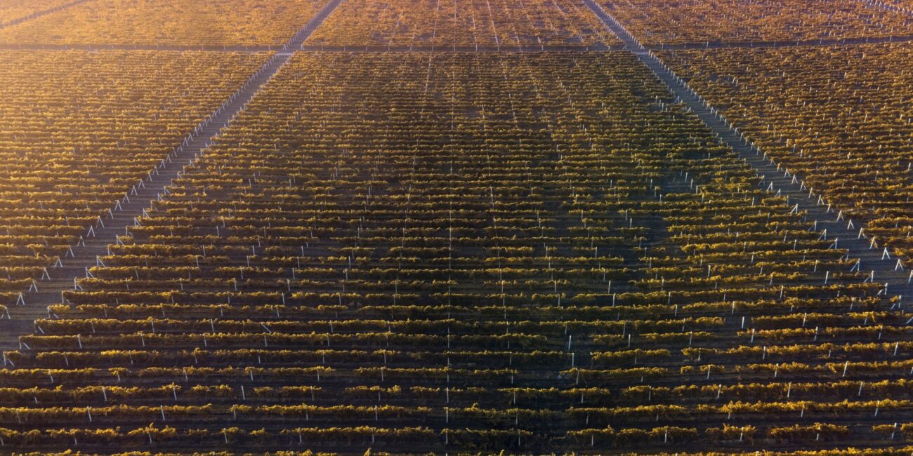 Agrivoltaico