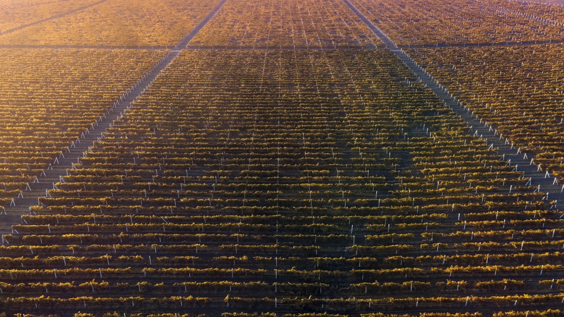 Agrivoltaico